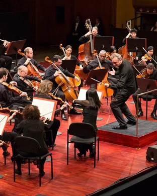 UK Symphony Orchestra Lexington