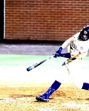 Auburn Tigers Baseball Auburn