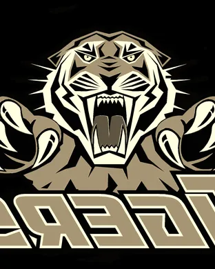 Auburn Tigers Auburn