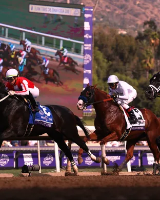 Breeders Cup Lexington