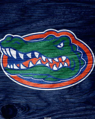 Florida Gators Basketball Gainesville