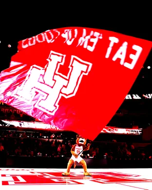 Houston Cougars Lexington