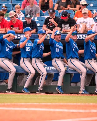 Kentucky Wildcats Baseball Evansville