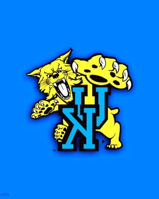 Kentucky Wildcats Basketball Lexington