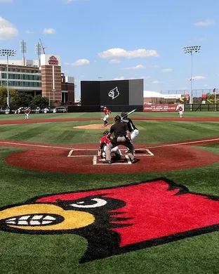 Louisville Cardinals Baseball Louisville