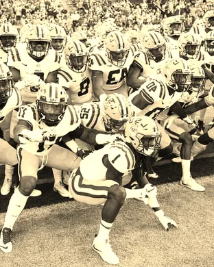 Lsu Tigers Football Lexington