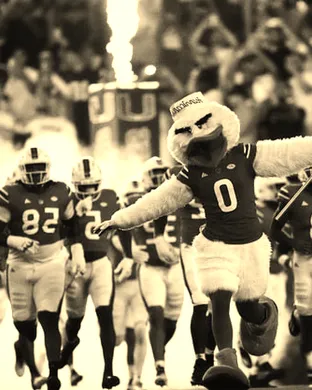 Miami Hurricanes Lexington