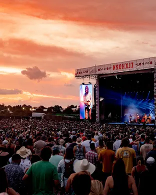 Railbird Festival Lexington