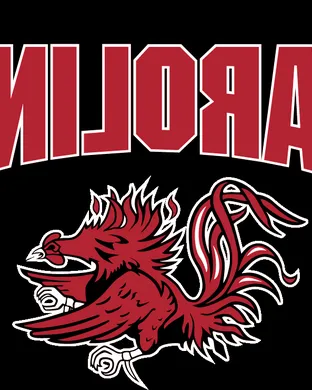South Carolina Gamecocks Baseball Columbia