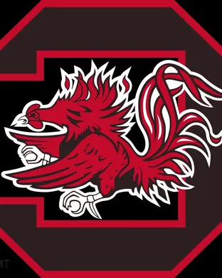 South Carolina Gamecocks Football Lexington