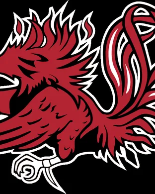 South Carolina Gamecocks vs. Kentucky Wildcats
