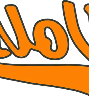 Tennessee Volunteers Baseball Lexington
