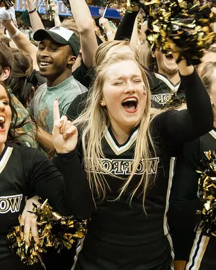 Wofford Terriers Lexington