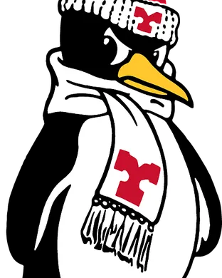 Youngstown State Penguins Lexington